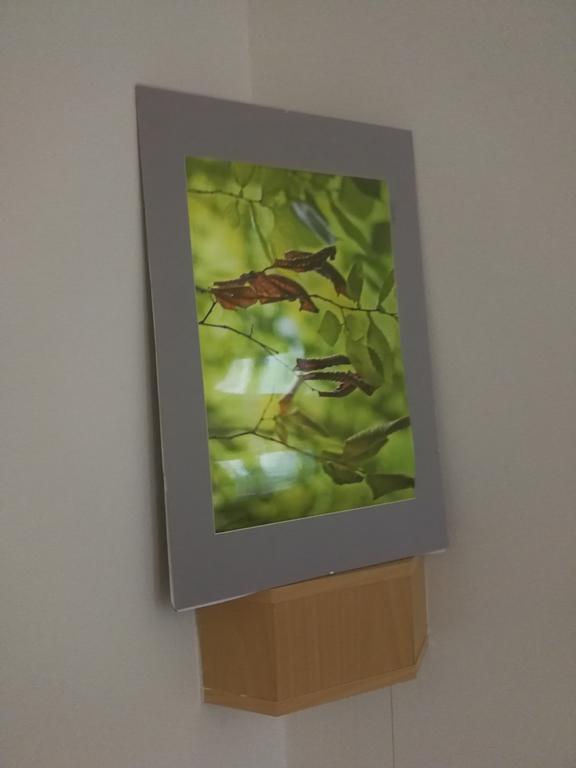 Flat 18 Minutes From Vaclavske Namesti プラハ エクステリア 写真